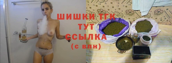 твердый Абаза