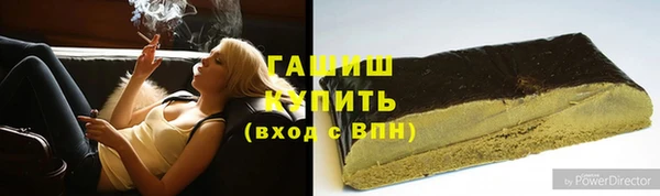 прущие грибы Алзамай