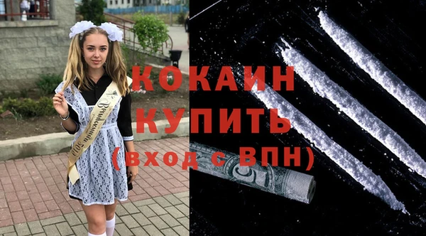твердый Абаза