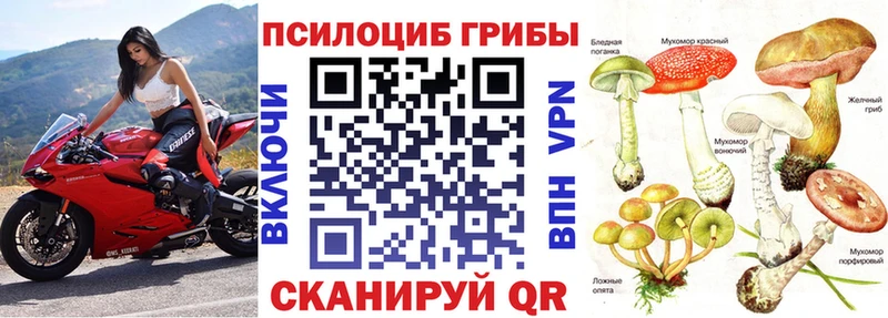 Псилоцибиновые грибы Psilocybe  Почеп 